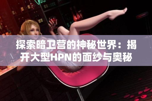 探索暗卫营的神秘世界：揭开大型HPN的面纱与奥秘