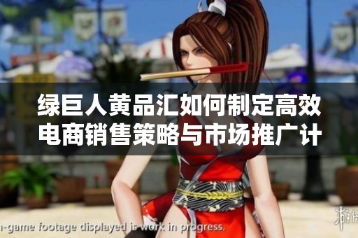 绿巨人黄品汇如何制定高效电商销售策略与市场推广计划