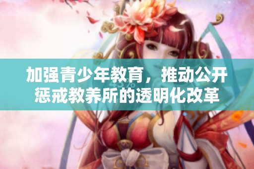 加强青少年教育，推动公开惩戒教养所的透明化改革