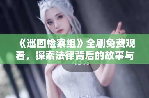 《巡回检察组》全剧免费观看，探索法律背后的故事与真相