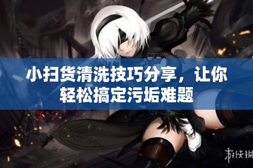 小扫货清洗技巧分享，让你轻松搞定污垢难题