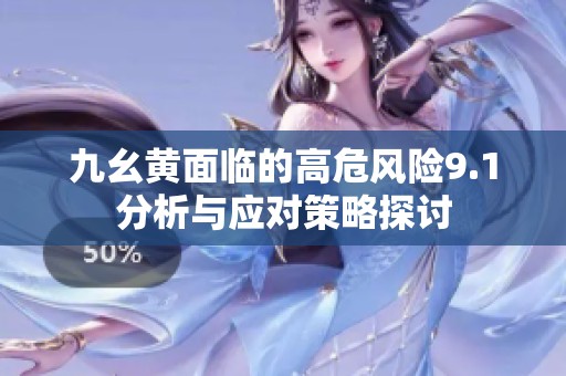 九幺黄面临的高危风险9.1分析与应对策略探讨