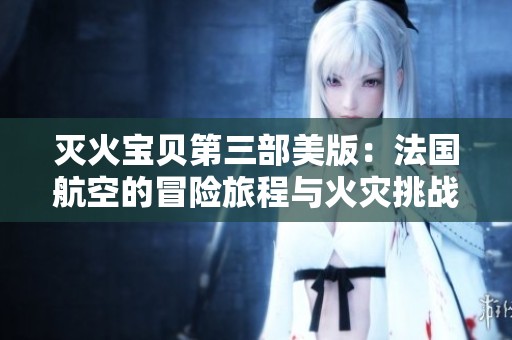 灭火宝贝第三部美版：法国航空的冒险旅程与火灾挑战