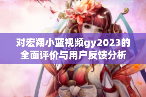 对宏翔小蓝视频gy2023的全面评价与用户反馈分析