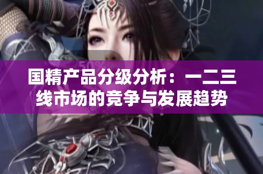 国精产品分级分析：一二三线市场的竞争与发展趋势