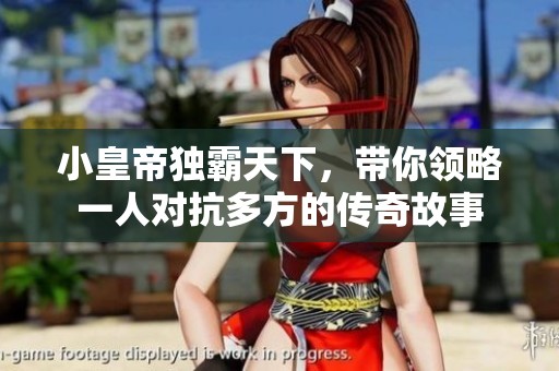 小皇帝独霸天下，带你领略一人对抗多方的传奇故事