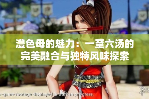 澧色母的魅力：一至六汤的完美融合与独特风味探索