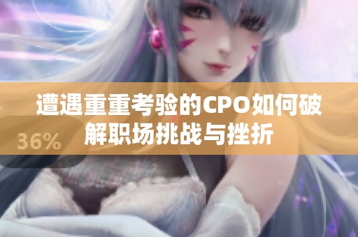 遭遇重重考验的CPO如何破解职场挑战与挫折