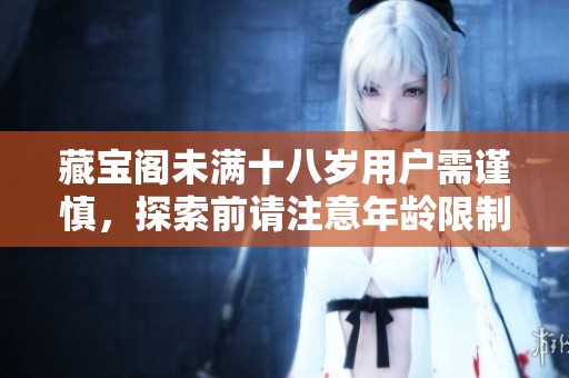 藏宝阁未满十八岁用户需谨慎，探索前请注意年龄限制
