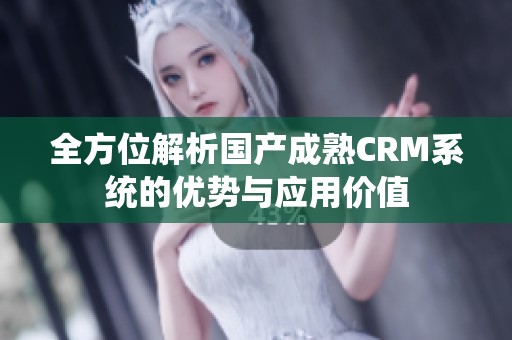 全方位解析国产成熟CRM系统的优势与应用价值