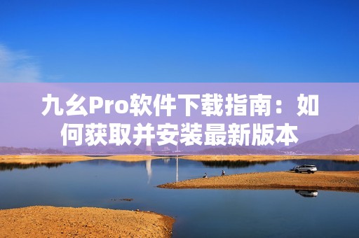 九幺Pro软件下载指南：如何获取并安装最新版本