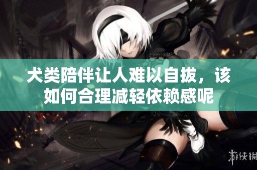 犬类陪伴让人难以自拔，该如何合理减轻依赖感呢