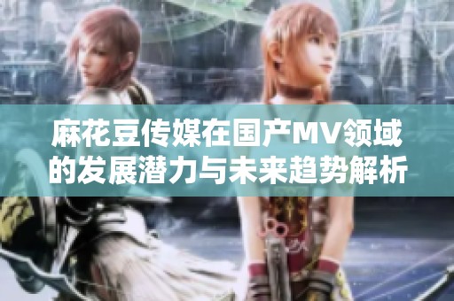 麻花豆传媒在国产MV领域的发展潜力与未来趋势解析