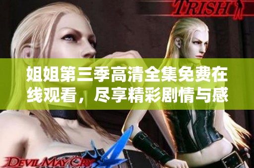 姐姐第三季高清全集免费在线观看，尽享精彩剧情与感人故事