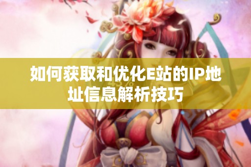 如何获取和优化E站的IP地址信息解析技巧