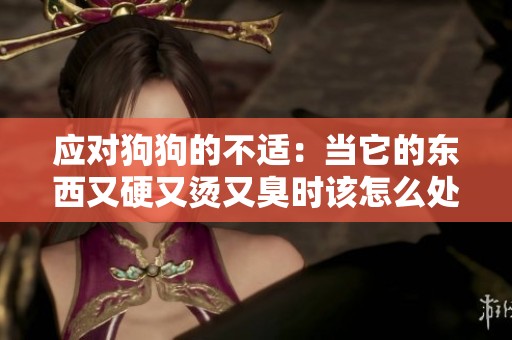 应对狗狗的不适：当它的东西又硬又烫又臭时该怎么处理