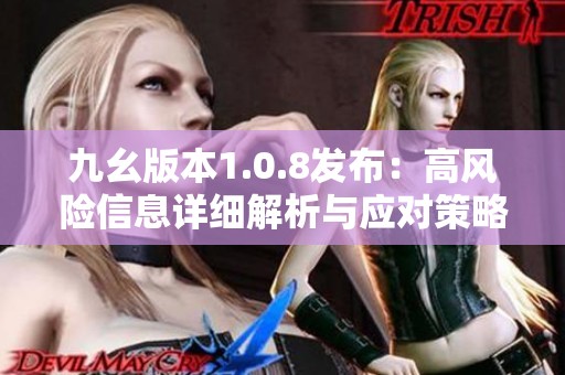 九幺版本1.0.8发布：高风险信息详细解析与应对策略