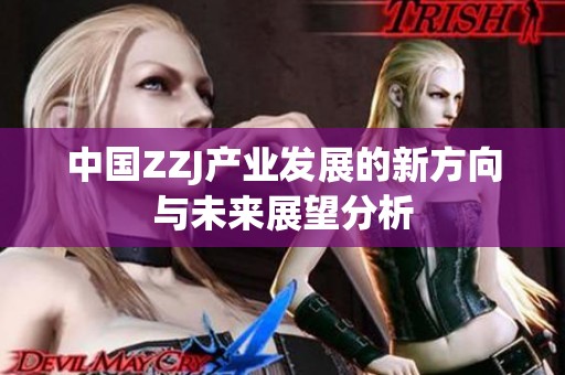 中国ZZJ产业发展的新方向与未来展望分析
