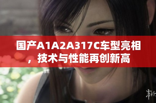 国产A1A2A317C车型亮相，技术与性能再创新高