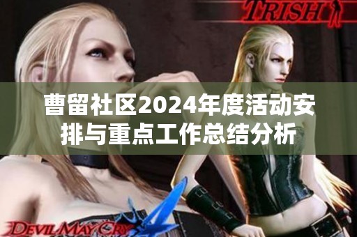 曹留社区2024年度活动安排与重点工作总结分析