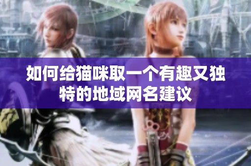如何给猫咪取一个有趣又独特的地域网名建议