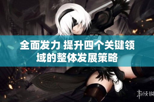 全面发力 提升四个关键领域的整体发展策略