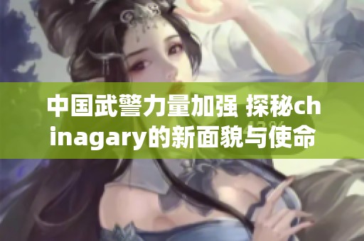 中国武警力量加强 探秘chinagary的新面貌与使命