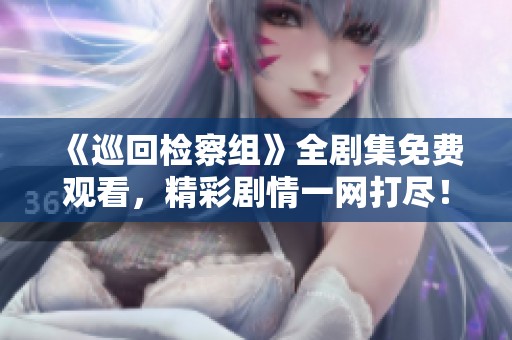 《巡回检察组》全剧集免费观看，精彩剧情一网打尽！