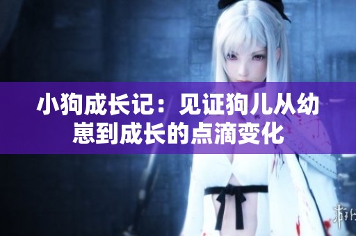 小狗成长记：见证狗儿从幼崽到成长的点滴变化