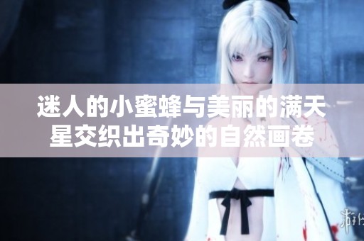迷人的小蜜蜂与美丽的满天星交织出奇妙的自然画卷