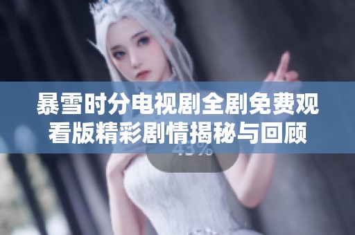 暴雪时分电视剧全剧免费观看版精彩剧情揭秘与回顾