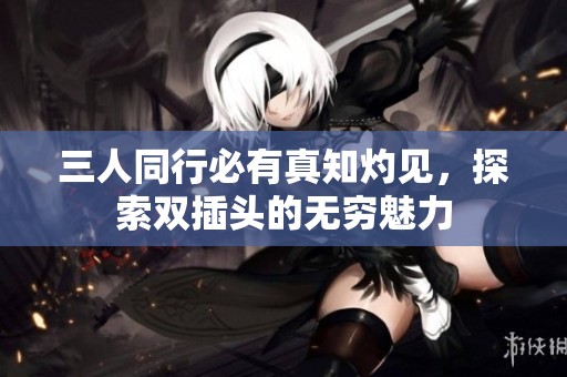 三人同行必有真知灼见，探索双插头的无穷魅力
