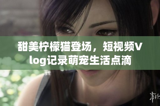 甜美柠檬猫登场，短视频Vlog记录萌宠生活点滴