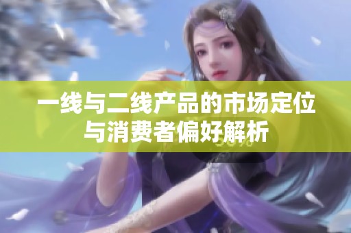一线与二线产品的市场定位与消费者偏好解析