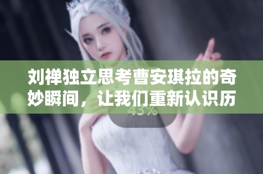 刘禅独立思考曹安琪拉的奇妙瞬间，让我们重新认识历史英雄