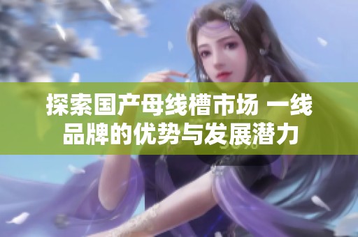 探索国产母线槽市场 一线品牌的优势与发展潜力