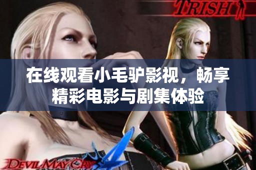 在线观看小毛驴影视，畅享精彩电影与剧集体验