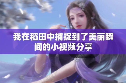 我在稻田中捕捉到了美丽瞬间的小视频分享