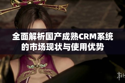 全面解析国产成熟CRM系统的市场现状与使用优势