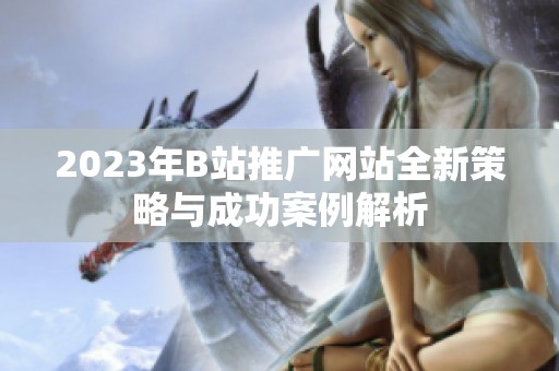 2023年B站推广网站全新策略与成功案例解析