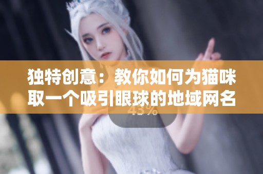 独特创意：教你如何为猫咪取一个吸引眼球的地域网名