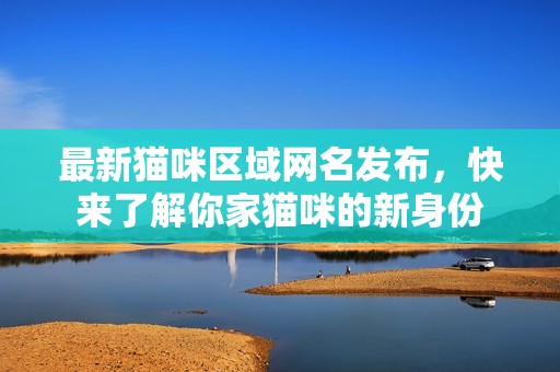 最新猫咪区域网名发布，快来了解你家猫咪的新身份