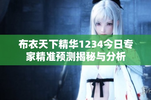 布衣天下精华1234今日专家精准预测揭秘与分析