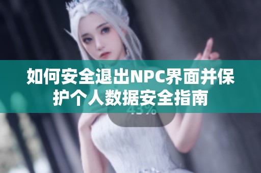 如何安全退出NPC界面并保护个人数据安全指南