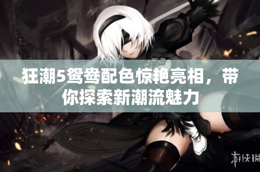 狂潮5鸳鸯配色惊艳亮相，带你探索新潮流魅力