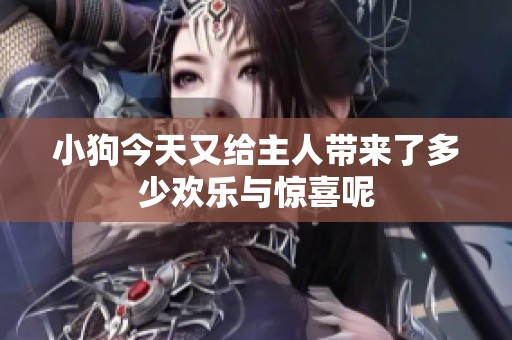 小狗今天又给主人带来了多少欢乐与惊喜呢