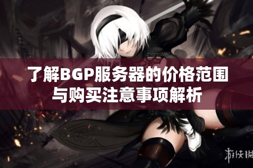 了解BGP服务器的价格范围与购买注意事项解析