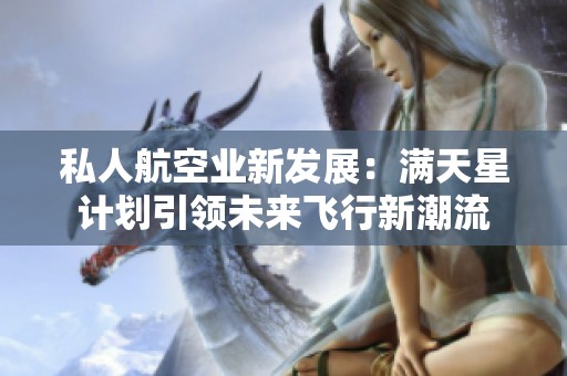 私人航空业新发展：满天星计划引领未来飞行新潮流