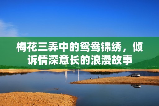 梅花三弄中的鸳鸯锦绣，倾诉情深意长的浪漫故事