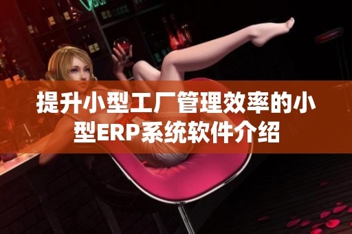 提升小型工厂管理效率的小型ERP系统软件介绍